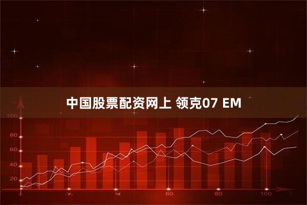 中国股票配资网上 领克07 EM