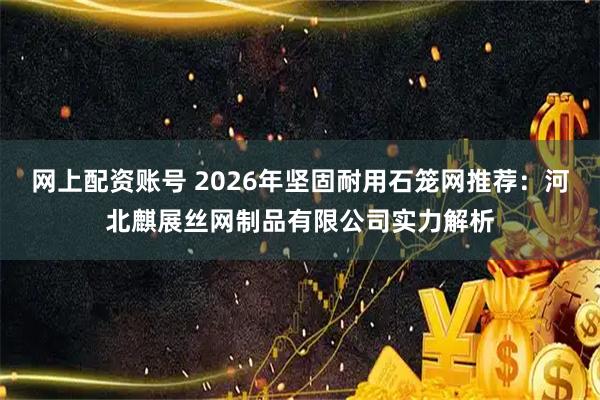 网上配资账号 2026年坚固耐用石笼网推荐：河北麒展丝网制品有限公司实力解析